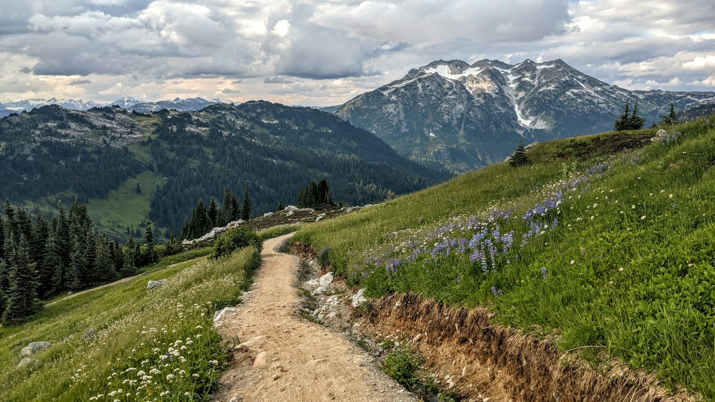 Mountain hiking trail through wildflowers — Khaliq Traders outdoor gear philosophy